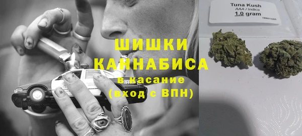 крисы Алексин