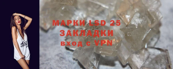 крисы Алексин