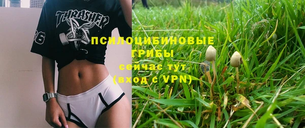 крисы Алексин