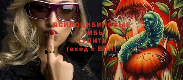 крисы Алексин