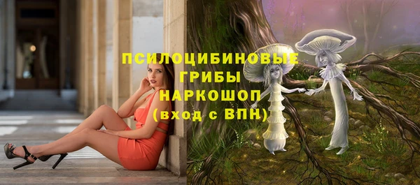 крисы Алексин